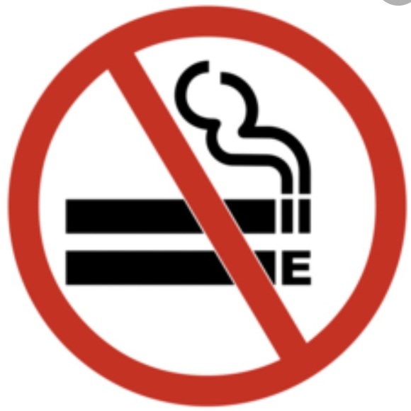 Meet your Posher, Sophia. - Picture 4 of 8